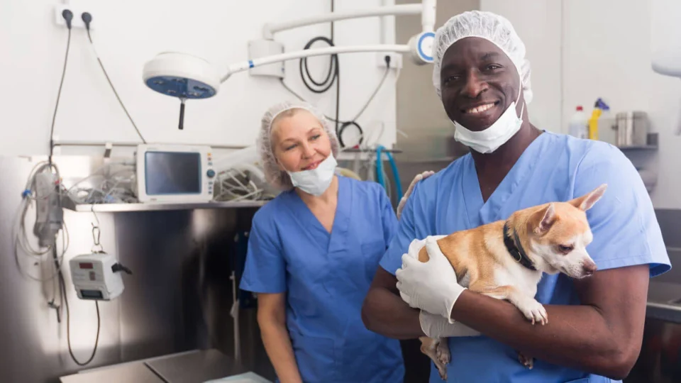 Alunos dizem o que acham do curso de Veterinária: Entre a paixão e os desafios reais