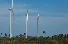Economia verde acelera metamorfose do trabalho e redefine carreiras até 2030