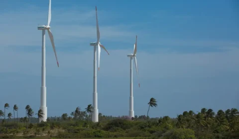 Economia verde acelera metamorfose do trabalho e redefine carreiras até 2030