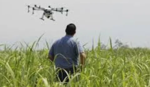 Veja algumas das profissões do Agronegócio, o setor que não para de crescer